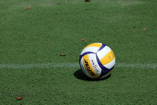 排球赛场焦点！法国队对阵克罗地亚队，豪门翻车，赛后引发巨大争议